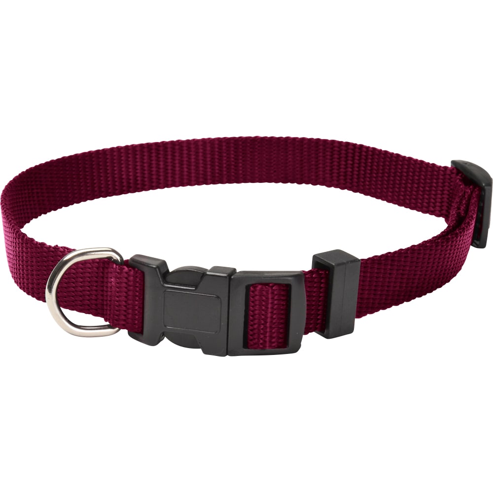 Collar  Colour traxx®