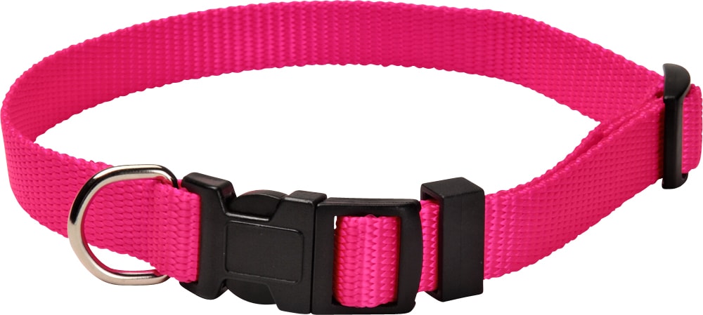 Collar  Colour traxx®