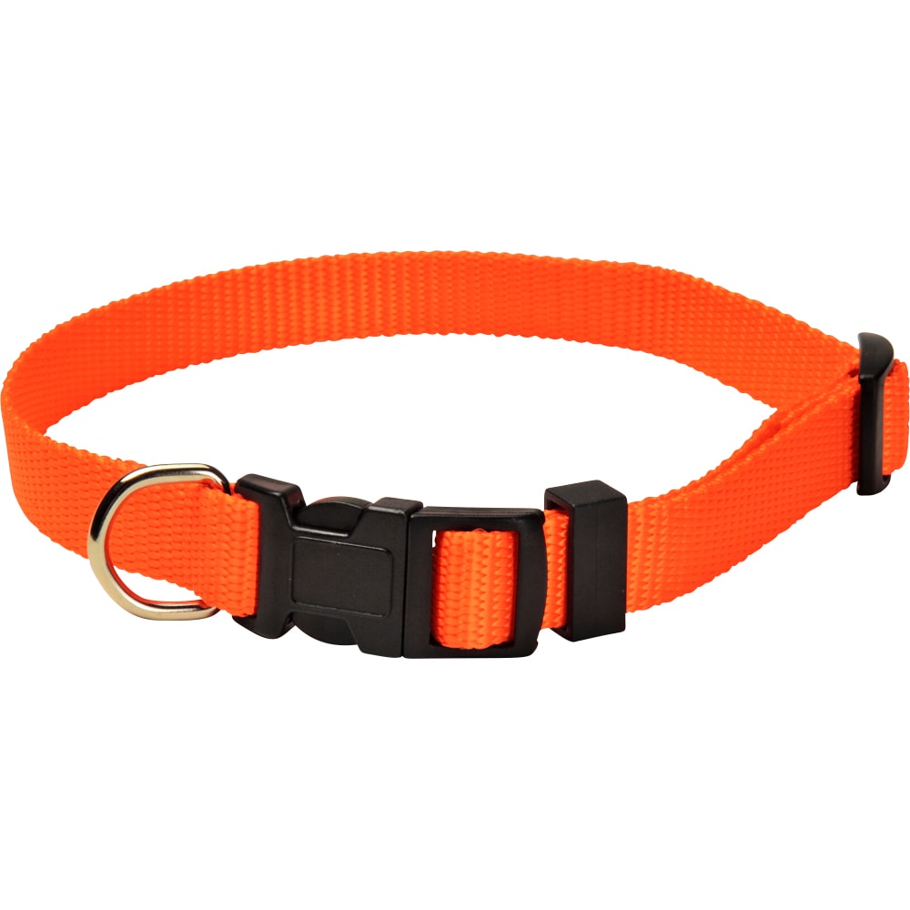 Collar  Colour traxx®