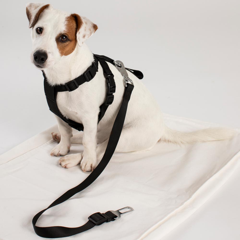 Car harness for dogs  Bella traxx®