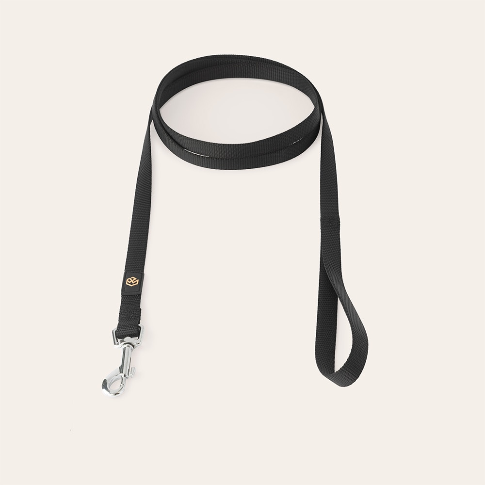 Leash  Colour 2.0 traxx®
