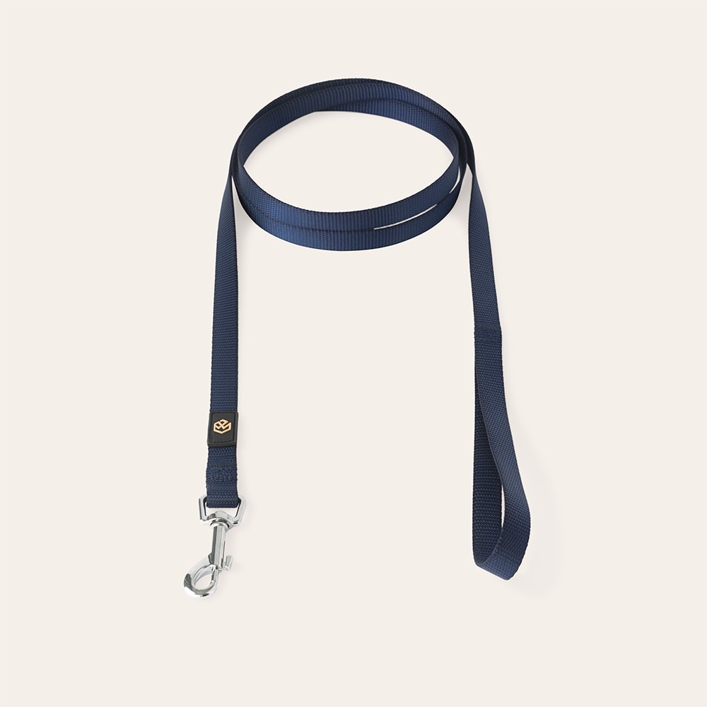Leash  Colour 2.0 traxx®