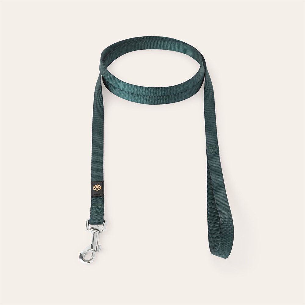 Leash  Colour 2.0 traxx®