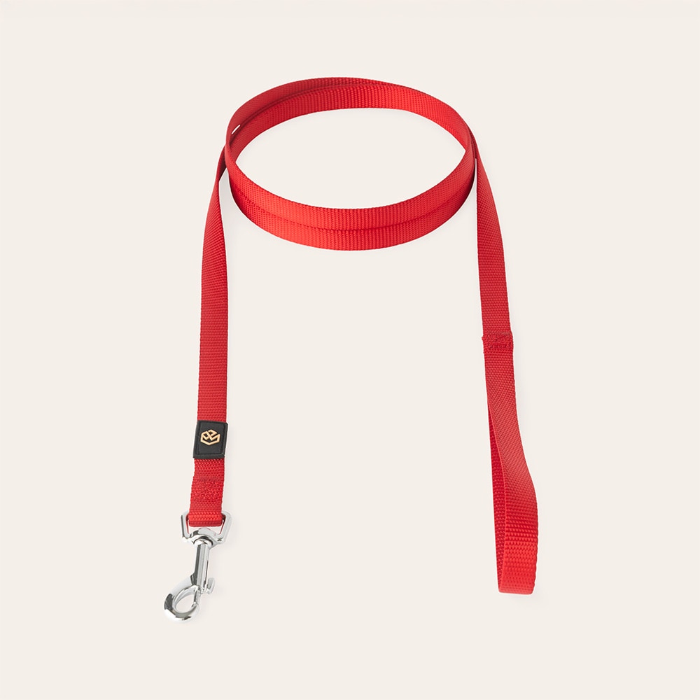 Leash  Colour 2.0 traxx®