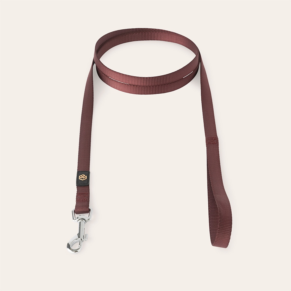 Leash  Colour 2.0 traxx®