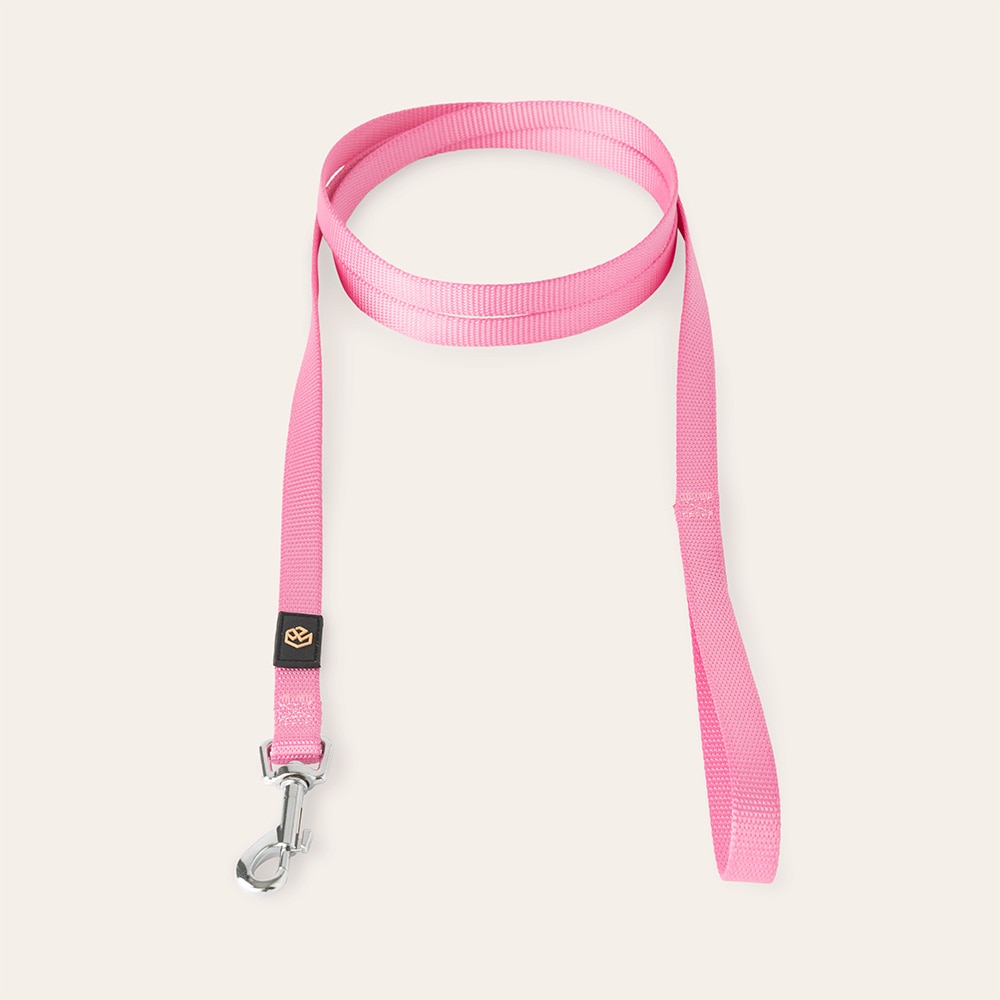 Leash  Colour 2.0 traxx®