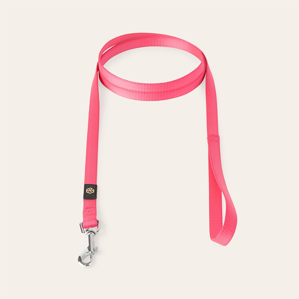 Leash  Colour 2.0 traxx®