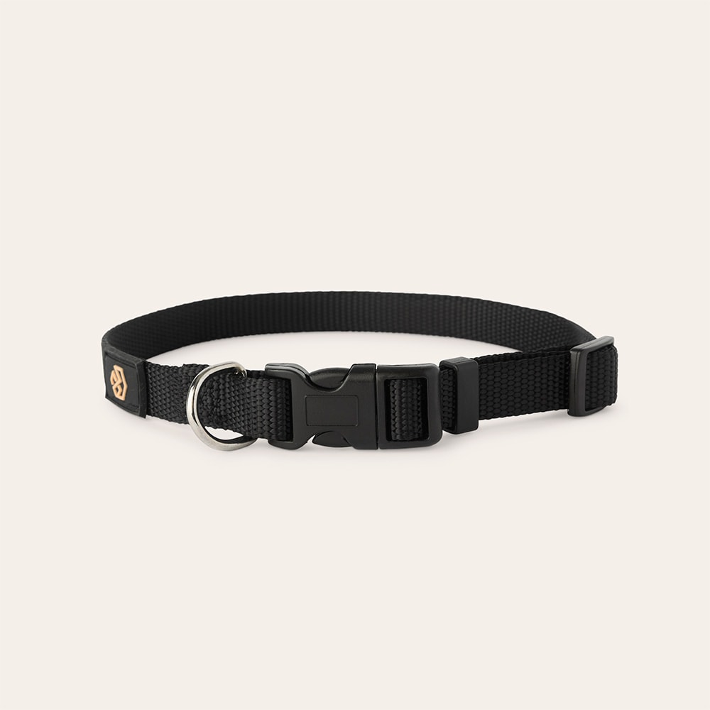 Collar Dog Colour 2.0 traxx®