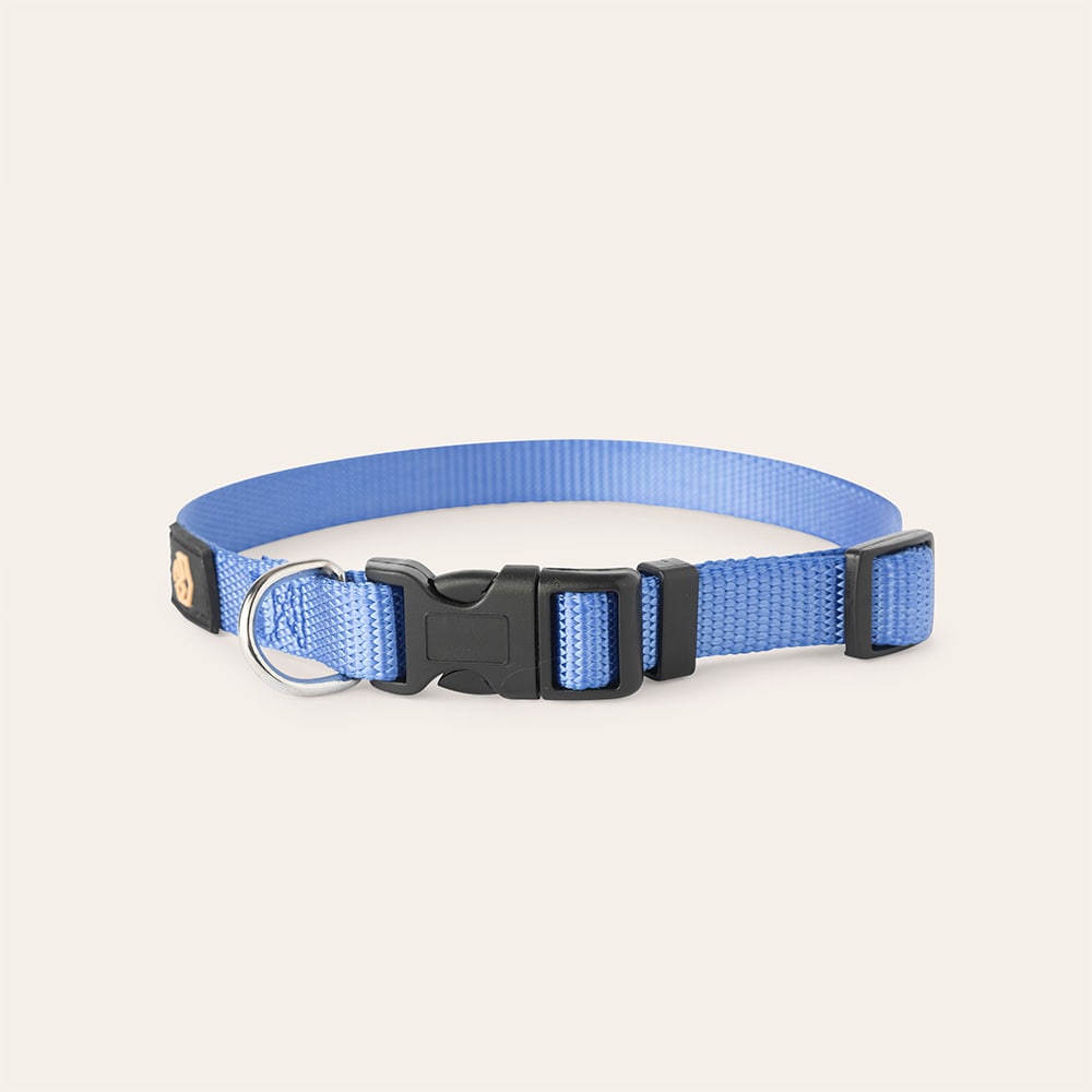 Collar Dog Colour 2.0 traxx®