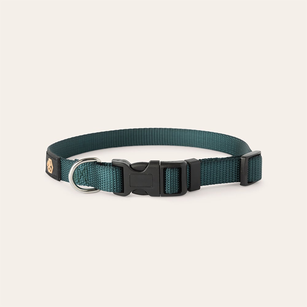 Collar Dog Colour 2.0 traxx®