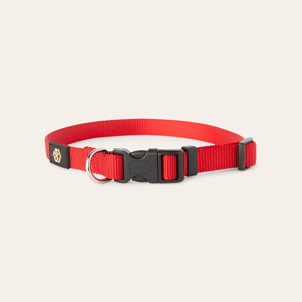 Collar Dog Colour 2.0 traxx®