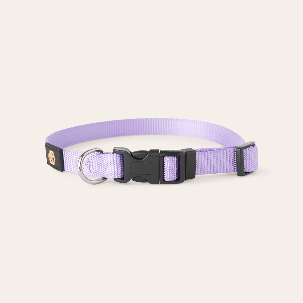Collar Dog Colour 2.0 traxx®