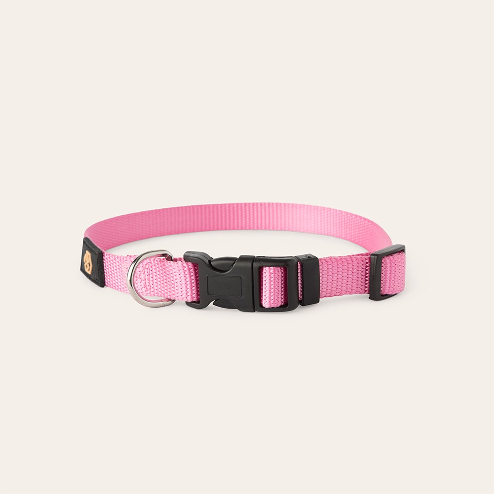 Collar Dog Colour 2.0 traxx®