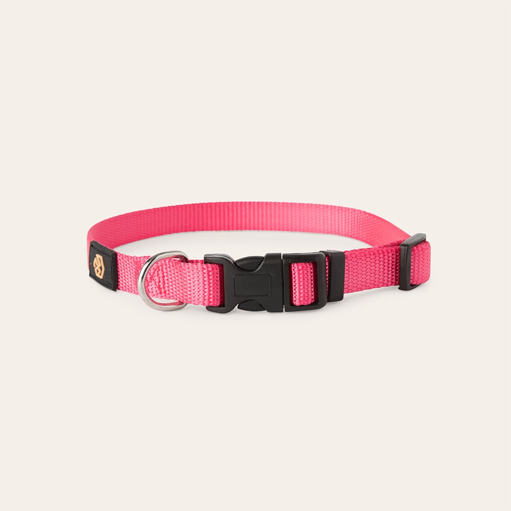 Collar Dog Colour 2.0 traxx®
