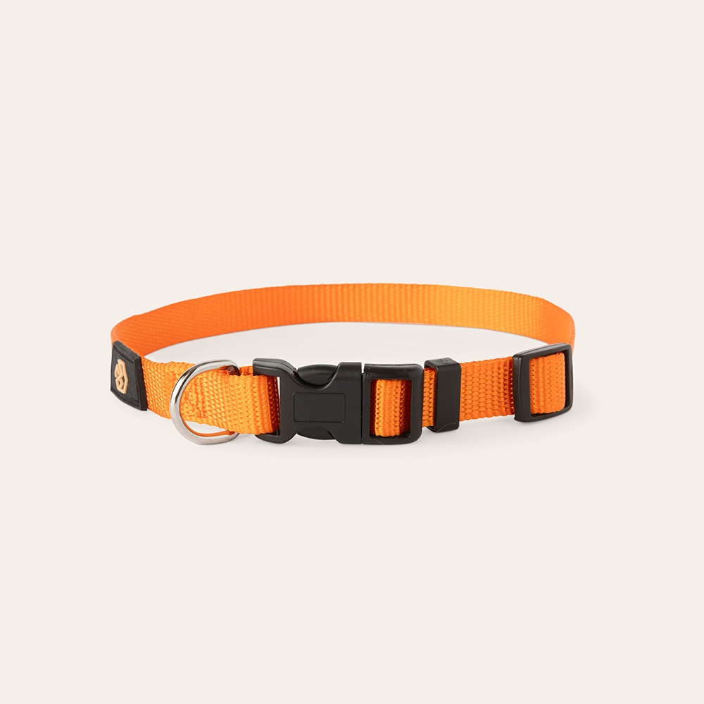 Collar Dog Colour 2.0 traxx®