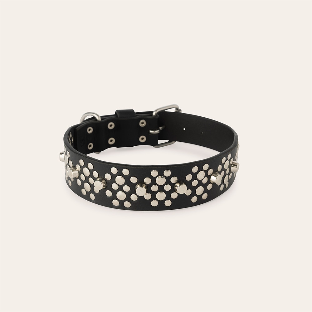 Collar Dog Niksa traxx®