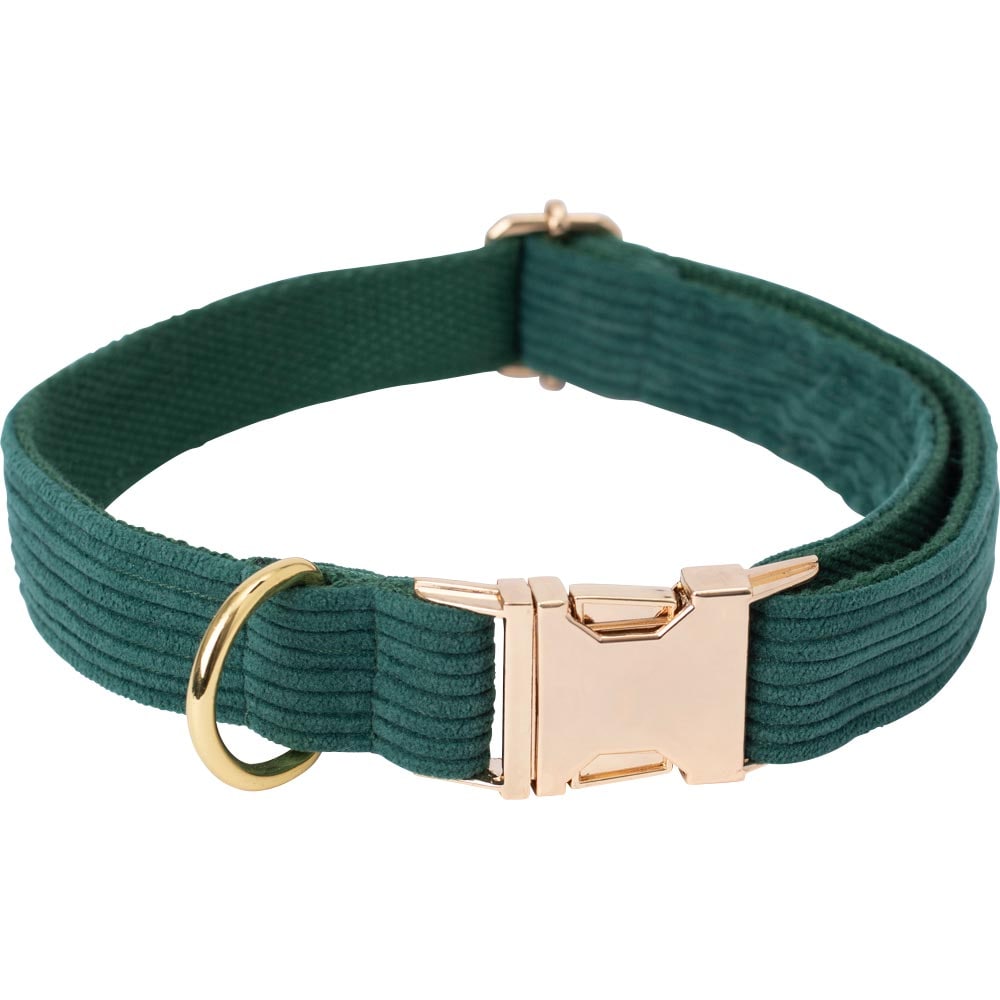 Collar  Siena traxx®