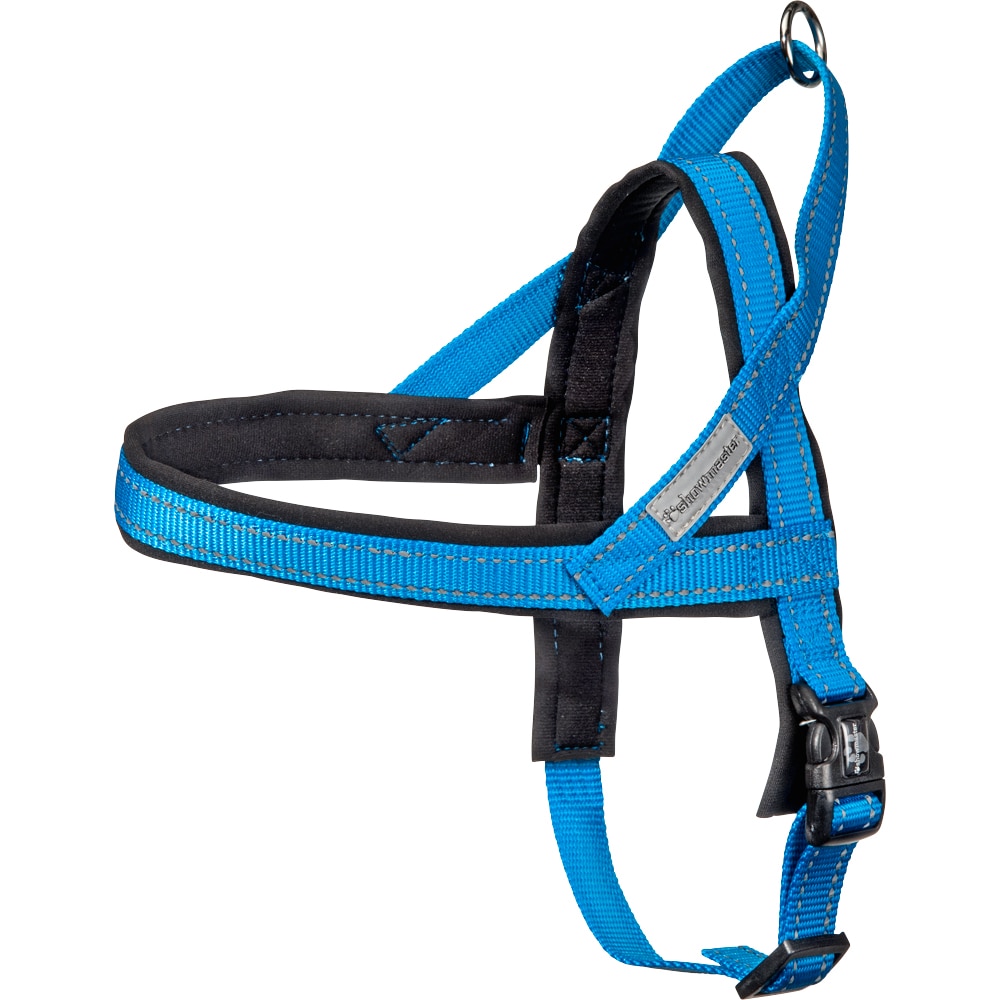 Tracking harness  Base traxx®