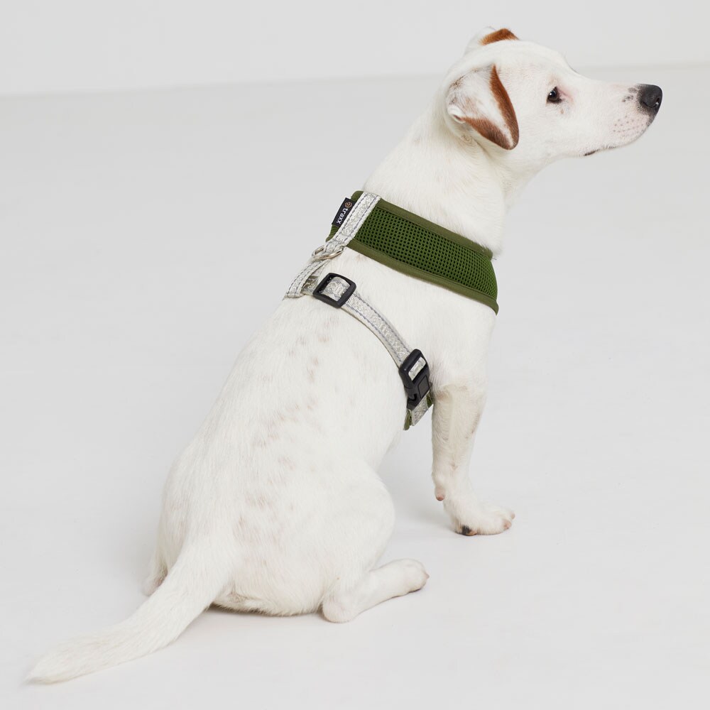 Dog harness  Itacha traxx®