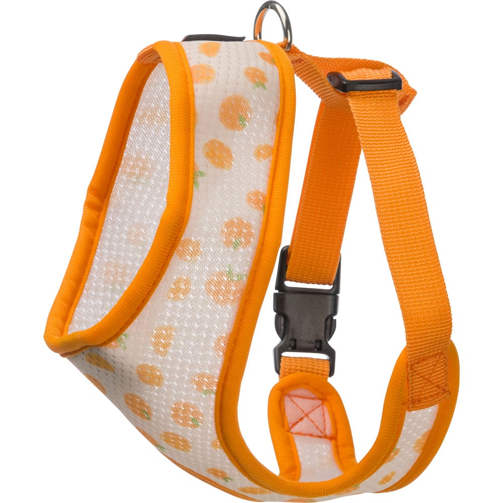 Dog harness  Itacha traxx®