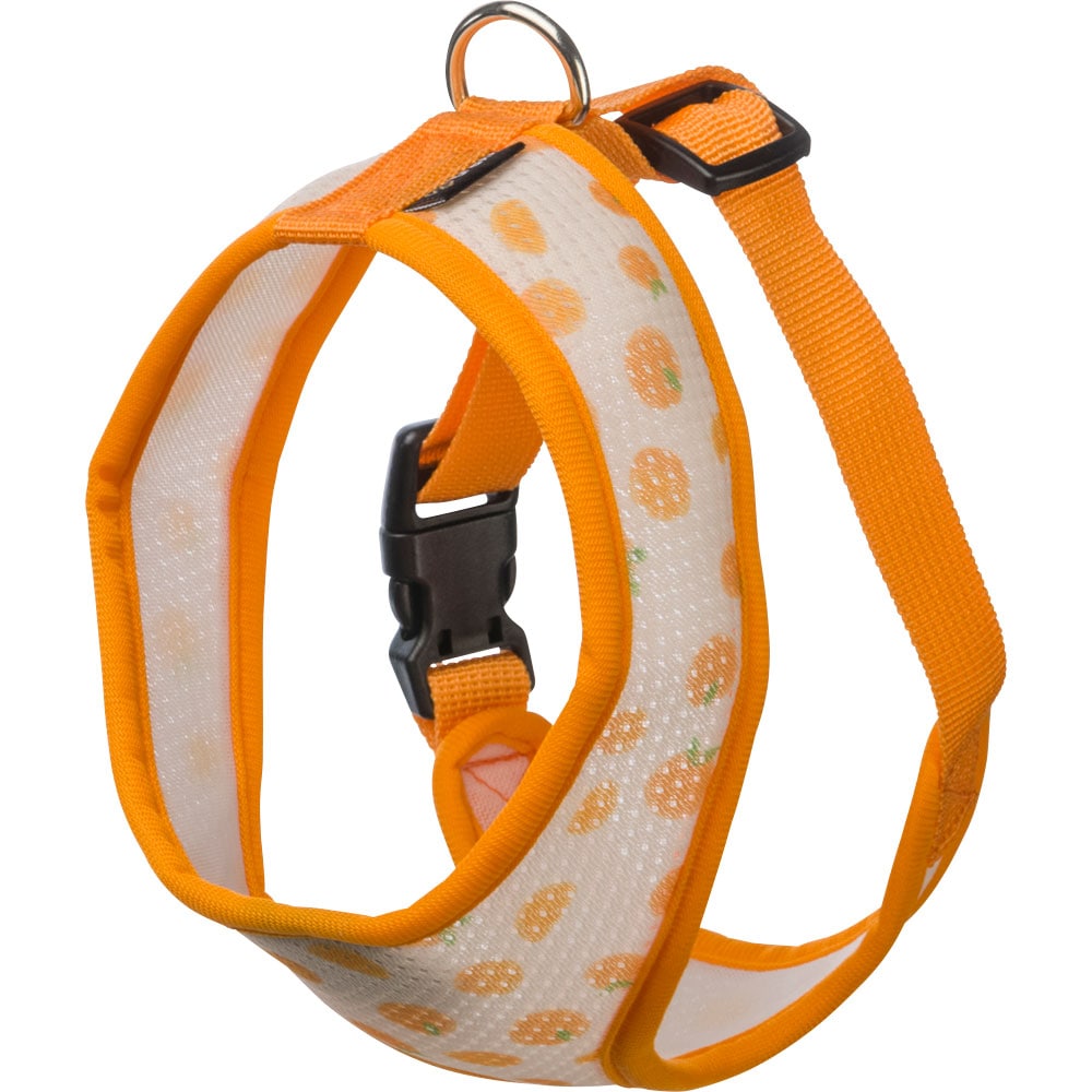 Dog harness  Itacha traxx®