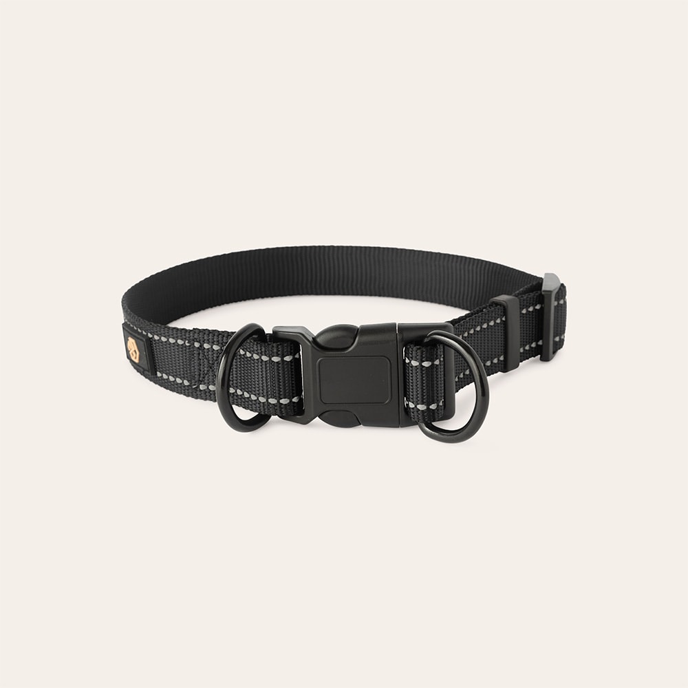 Collar and leash Dog Traxx Base Multi 2.0 Halsband traxx®