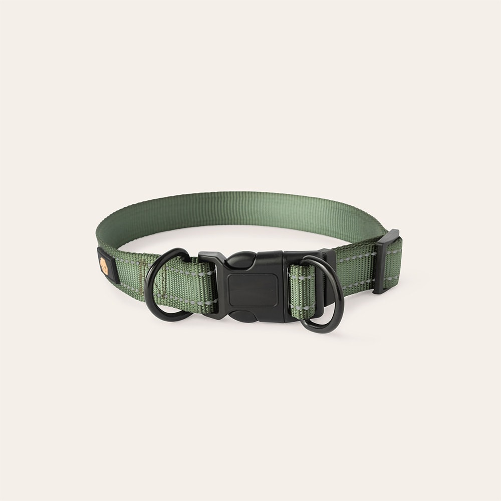 Collar and leash Dog Traxx Base Multi 2.0 Halsband traxx®