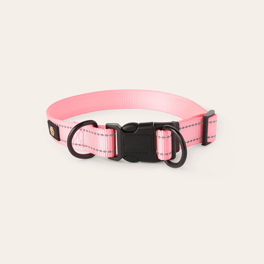 Collar and leash Dog Traxx Base Multi 2.0 Halsband traxx®
