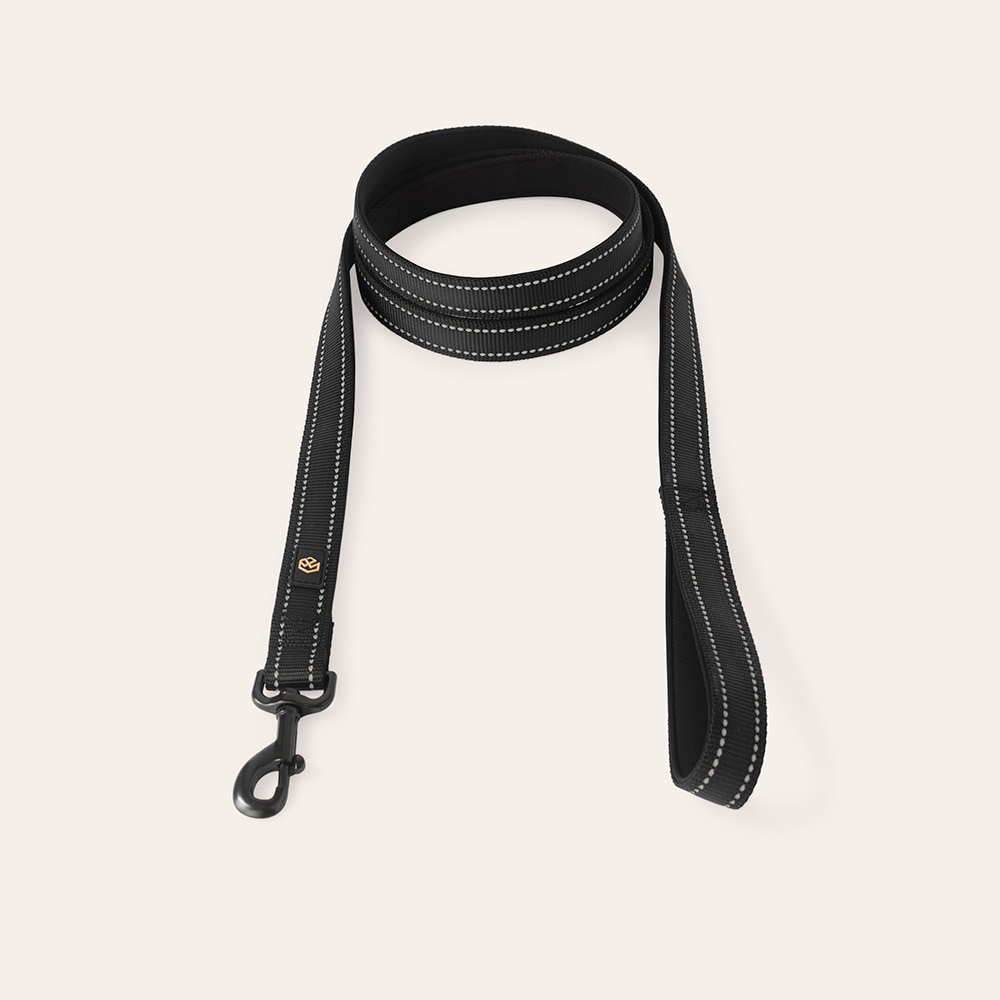 Collar and leash  Traxx Base Multi 2.0 Koppel traxx®