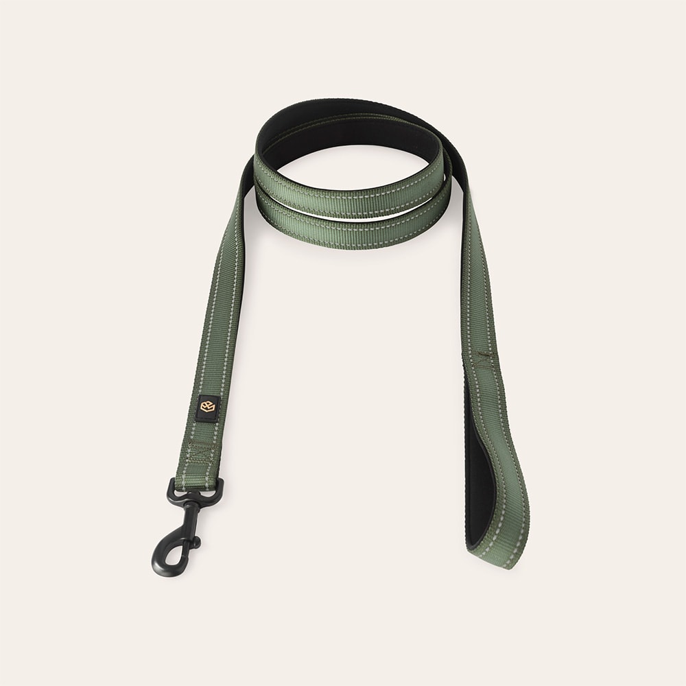 Collar and leash  Traxx Base Multi 2.0 Koppel traxx®