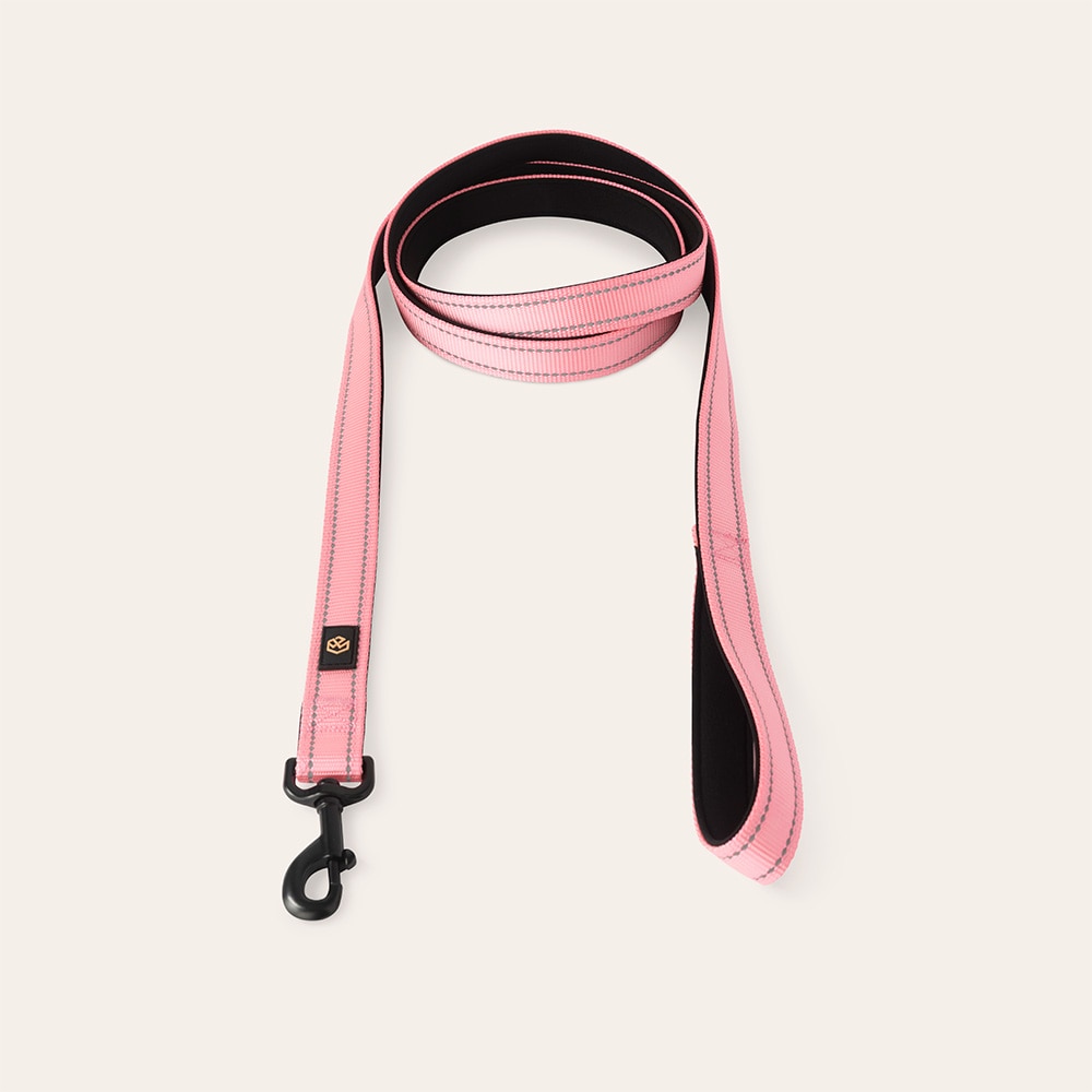 Collar and leash  Traxx Base Multi 2.0 Koppel traxx®