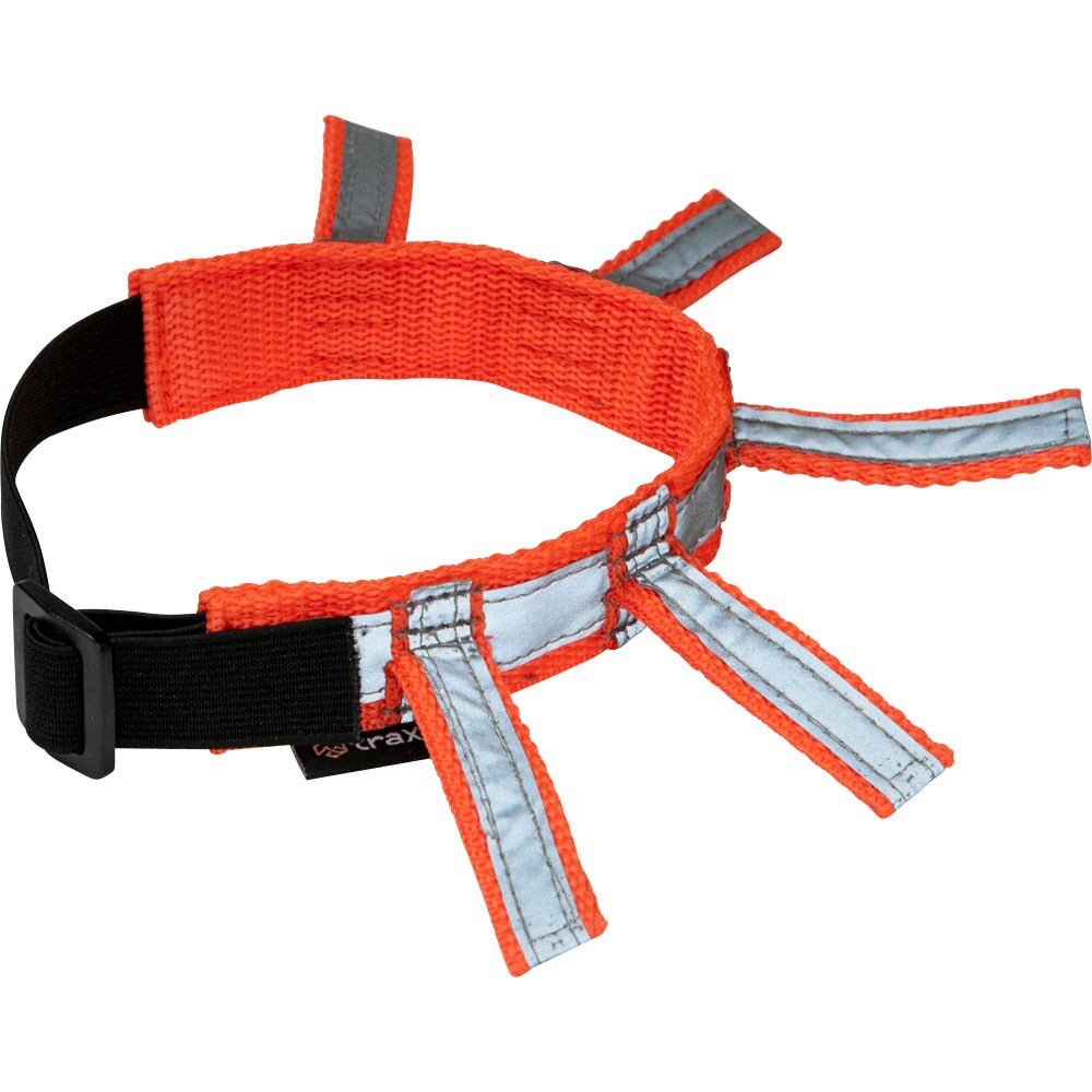 Reflective collar  Orion traxx®