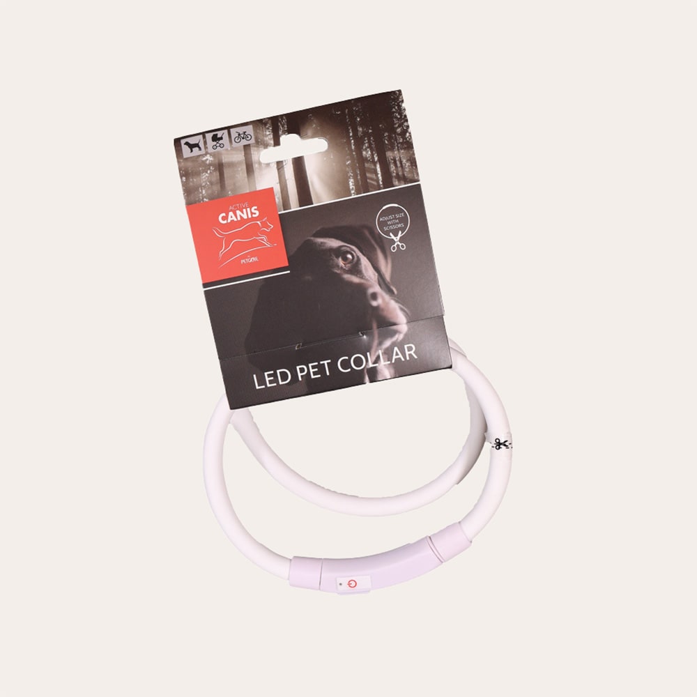 Collar  LED Pet Collar Active Canis