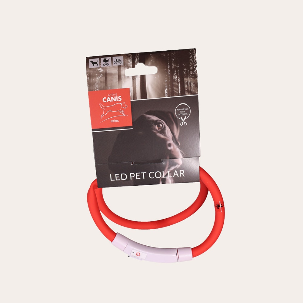 Collar  LED Pet Collar Active Canis