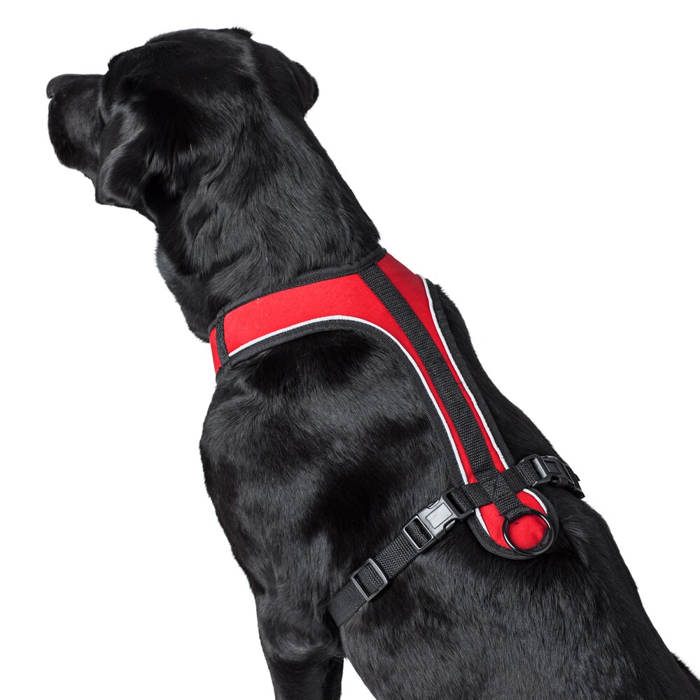 Y dog harness Clearance