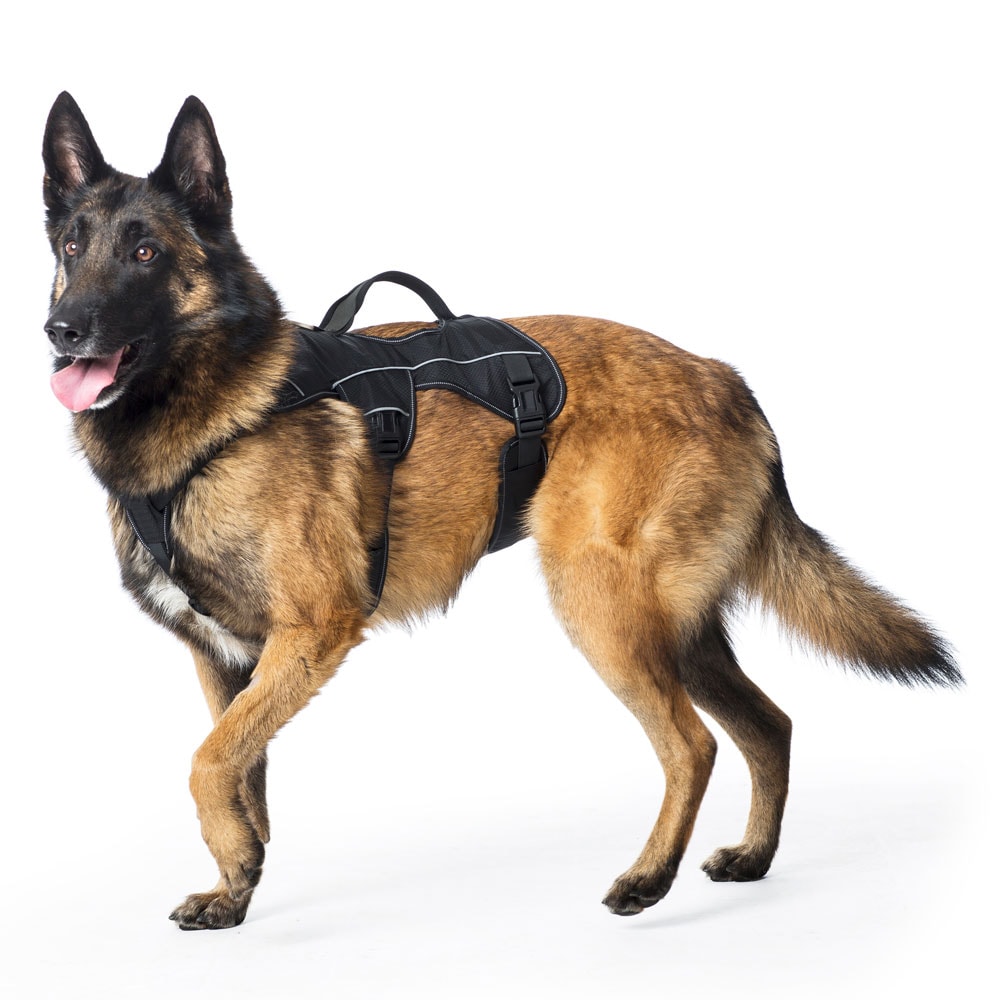 Dog harness  Trekking traxx®