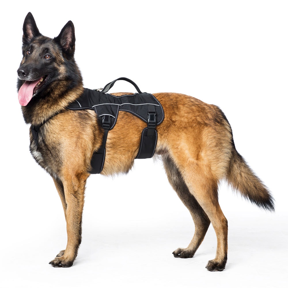 Dog harness  Trekking traxx®