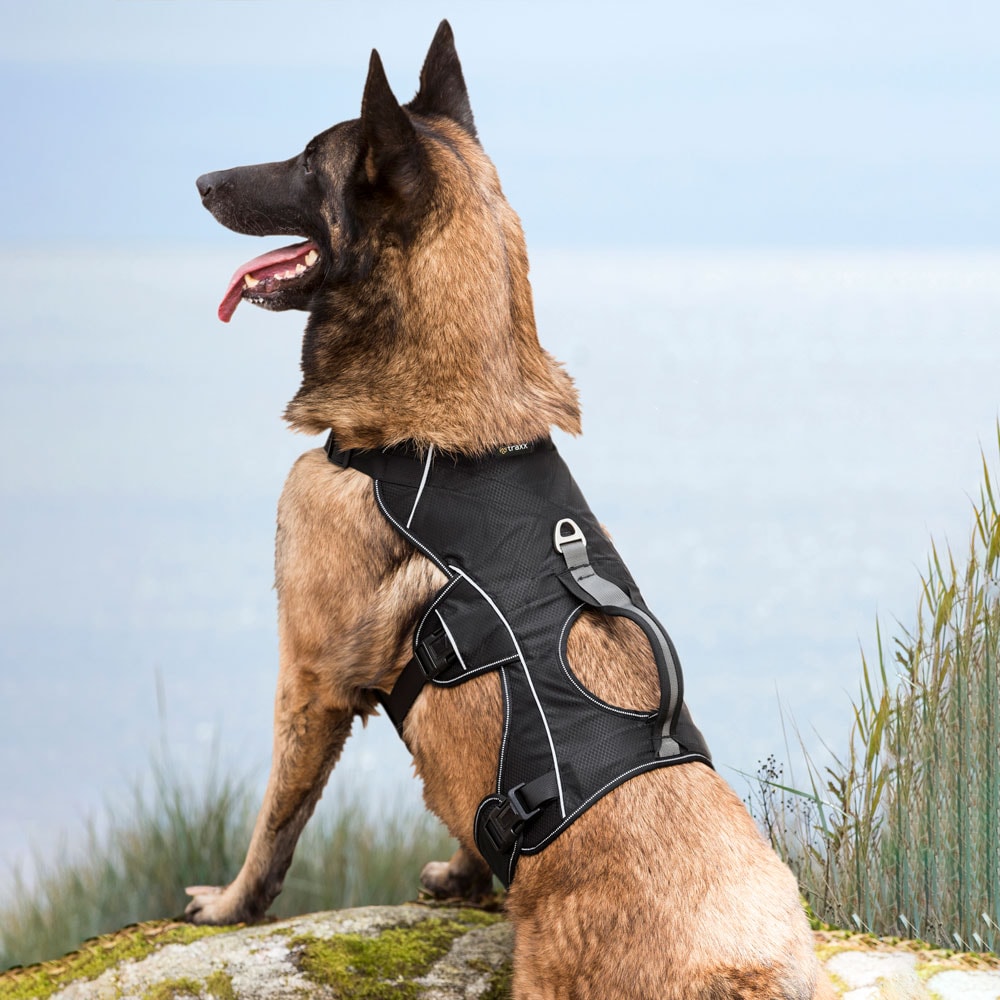 Dog harness  Trekking traxx®