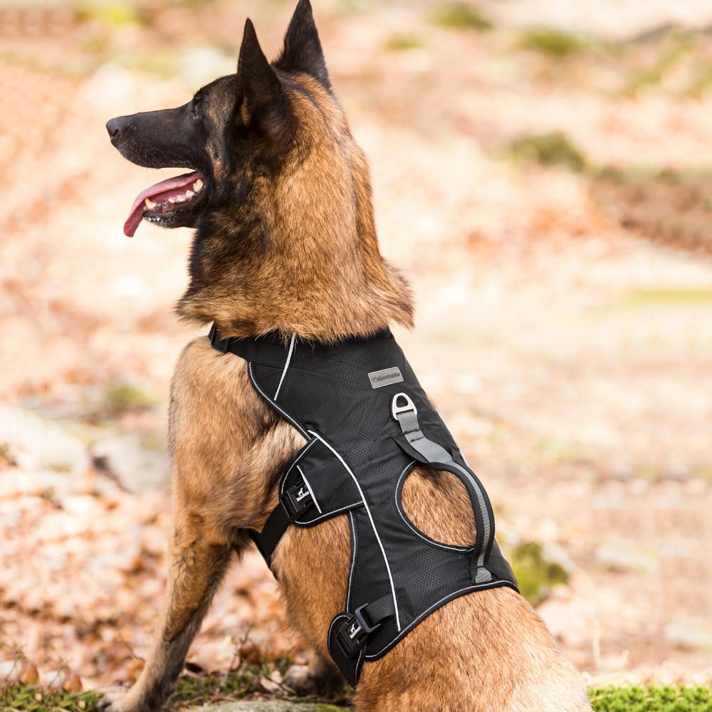 Dog harness  Trekking traxx®