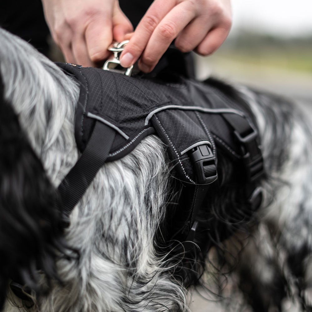 Dog harness  Trekking traxx®