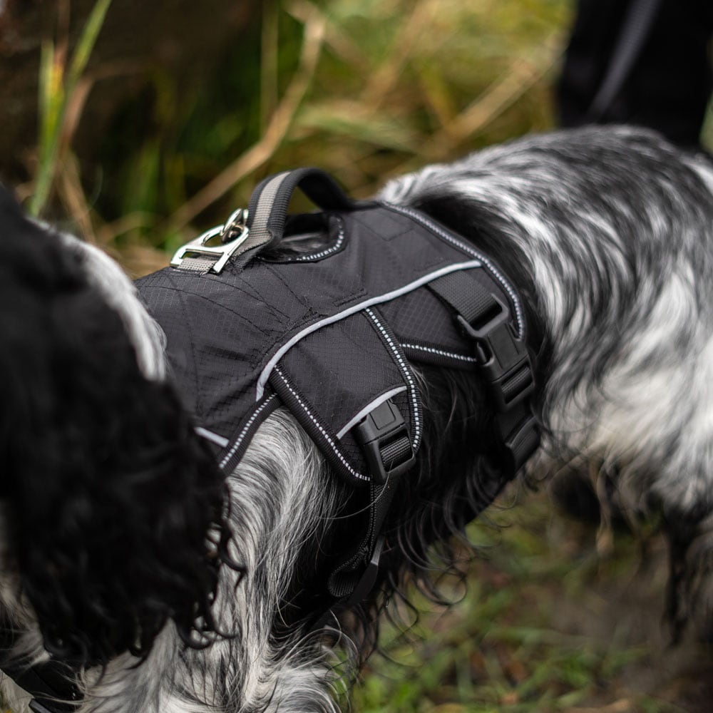 Dog harness  Trekking traxx®