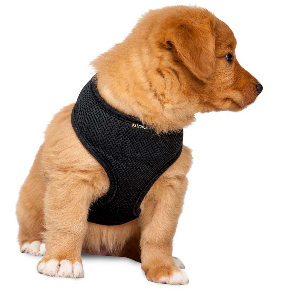 Dog harness  Puppy traxx®