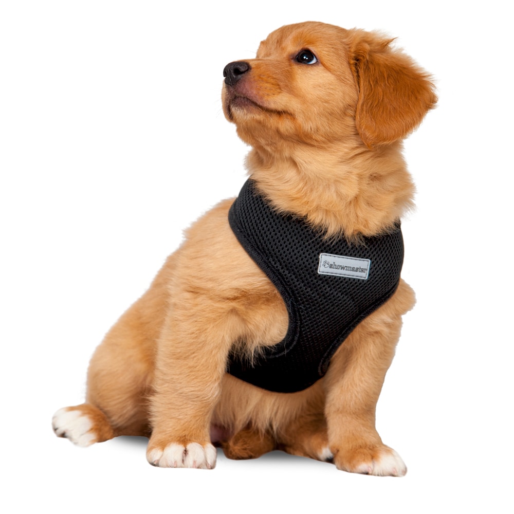 Dog harness  Puppy traxx®