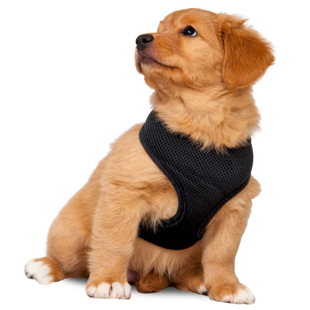 Dog harness  Puppy traxx®