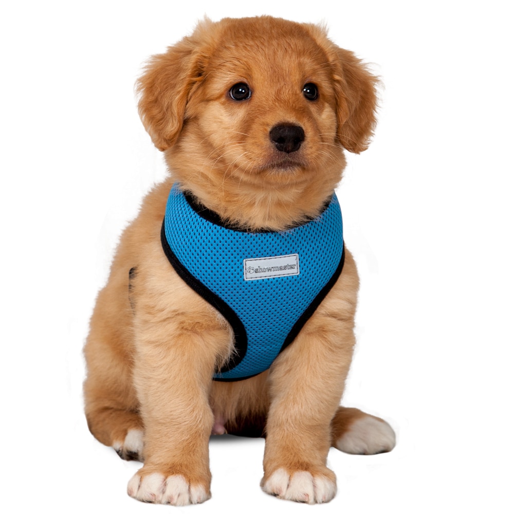 Dog harness for puppy Clearance