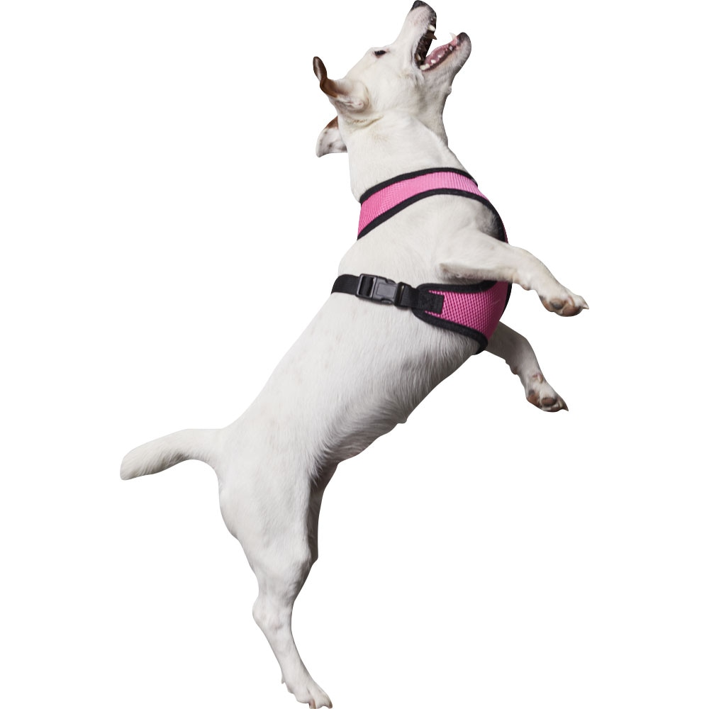 Dog harness  Puppy traxx®