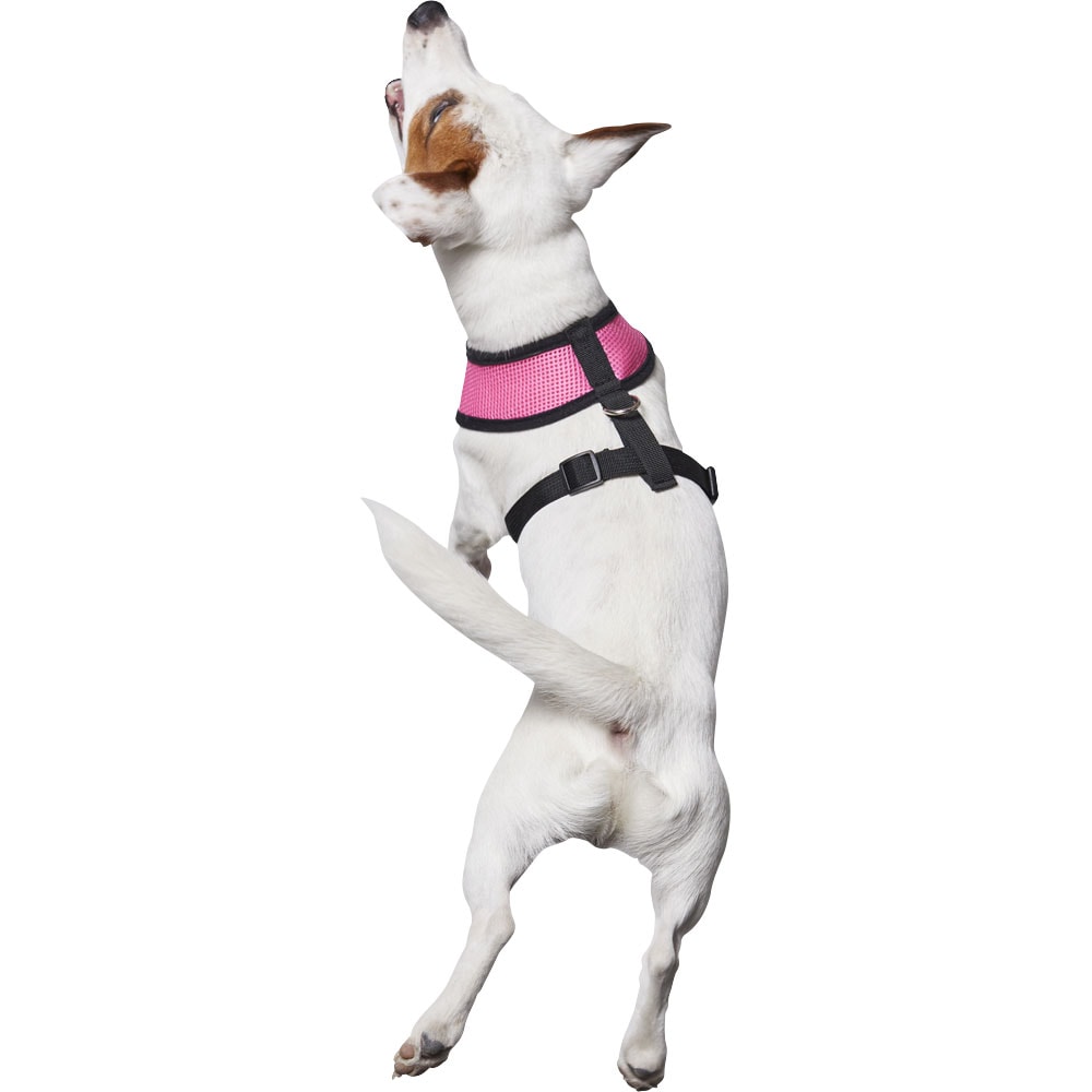 Dog harness  Puppy traxx®