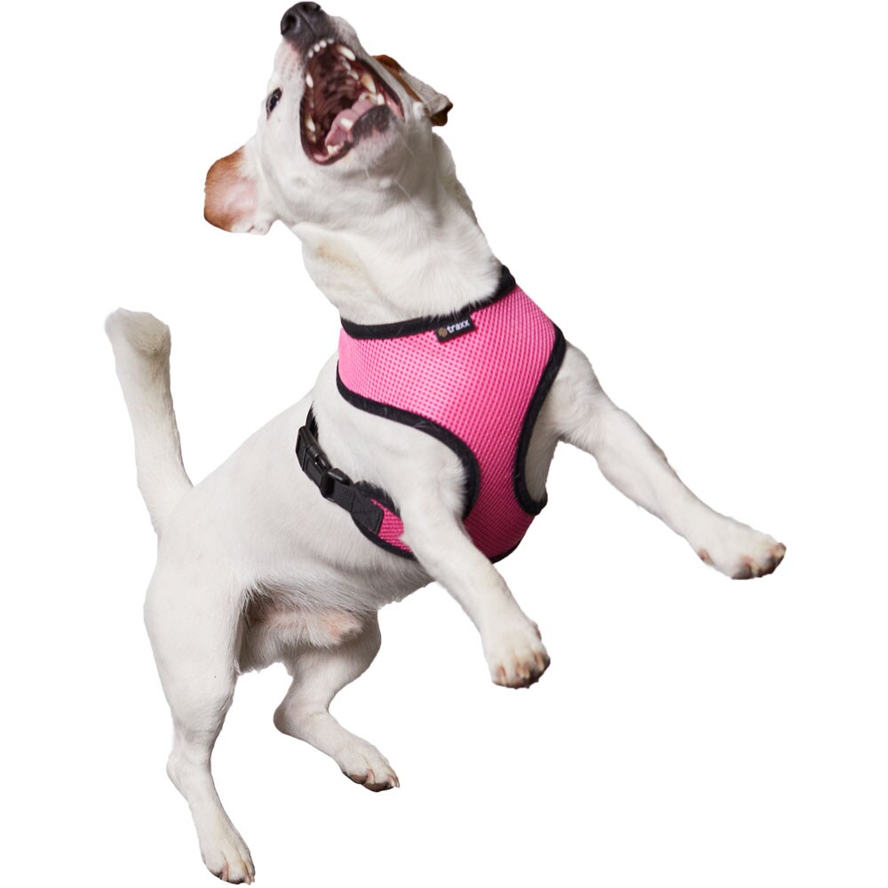 Dog harness  Puppy traxx®