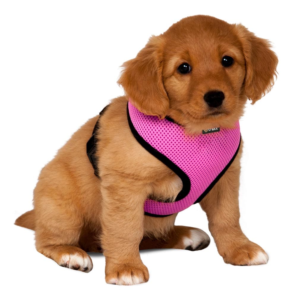 Dog harness  Puppy traxx®