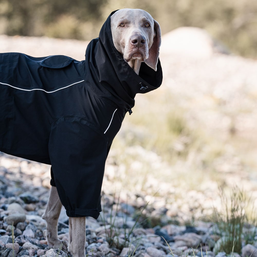 Dog overall  Evo Rain traxx®